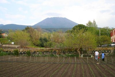 2520 farm below vesuvius.jpg