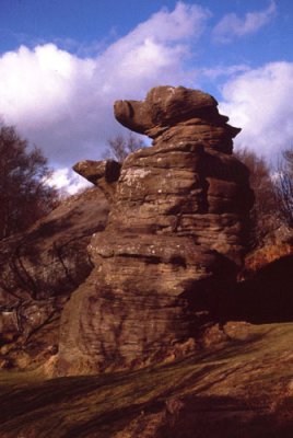 Brimham Rocks 5