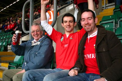 Welsh fans in Millennium Stadium, Cardiff