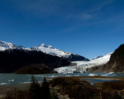 Spring is finally here at the Mendenhall Glacier