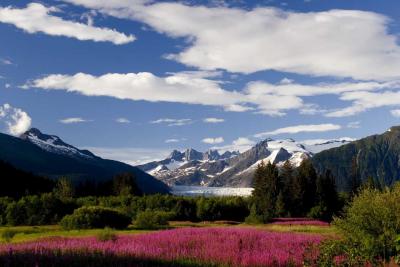 Brotherhood Bridge Meadow with Mendenhall Glacier in the background