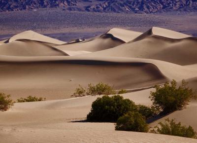 The Sand Dunes are a fun hike near Stovepipe Wells