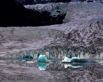 New blue ice from recent calving and from bergs rolling over