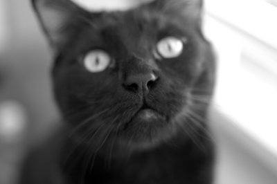 03.03.10::Please, Feed Me.