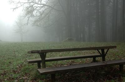 11.21.05 :: Lonely bench