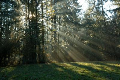 11.21.05 :: Rays of Light