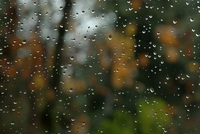11.25.05 :: Rainy Day