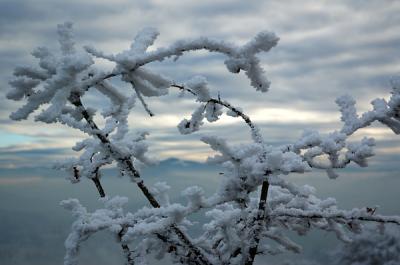 12.17.05 :: Hoarfrost