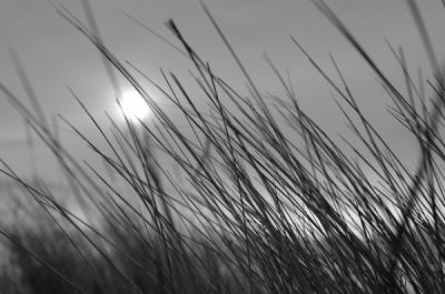 2.20.06 :: A Day at the Beach IV