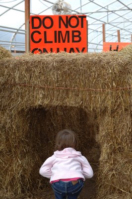 10.21.07::Hay Bale Maze