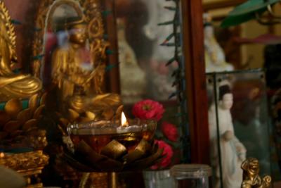 Da Lat-Thien Vuong Pagoda