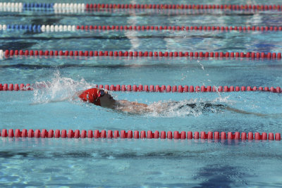 006P5823-228.jpg