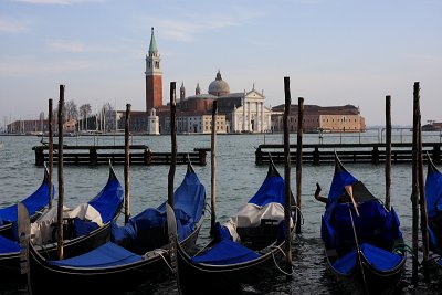 IMG_2334.jpg