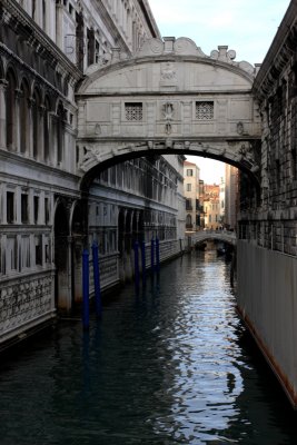 IMG_2339.jpg