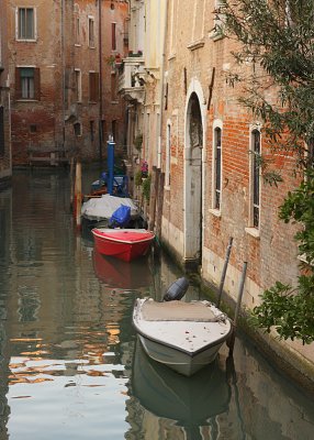 IMG_2701.jpg
