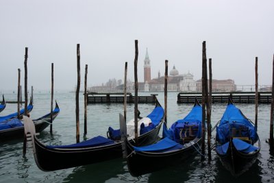 IMG_2794.jpg
