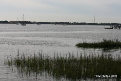 IMG_1020.JPG