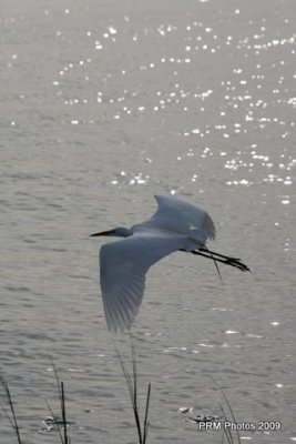 IMG_1062.JPG