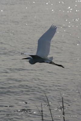 IMG_1063.JPG