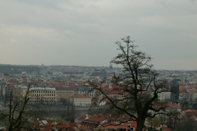 EDBT5994.JPG