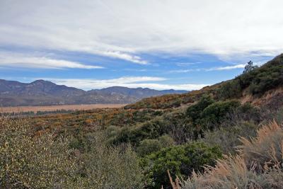 Fields and Hills