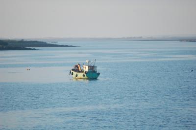 Boat Near Kinvarra, Co. Clare