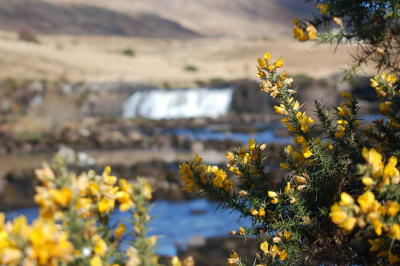 Aasleagh Falls, Connemara