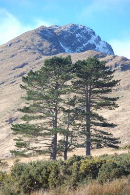 Connemara