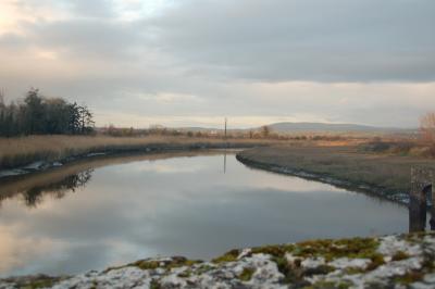 Shannon River, Co. Clare