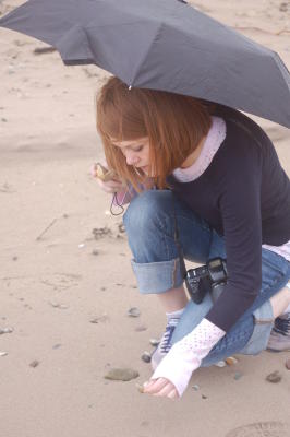 Brittany Collecting Shells at the Beach, Dingle Peninsula, Co. Kerry