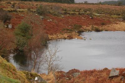 Co Kerry