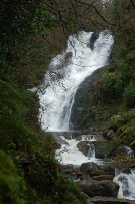 Torc Falls, Co Kerry