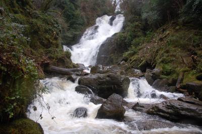 Torc Falls, Co Kerry