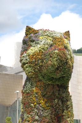 Jeff Koons' Puppy at the Guggenheim