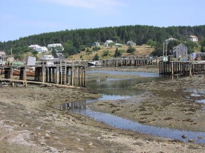 Frenchboro Low Tide