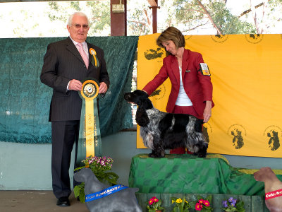 Best In Show
