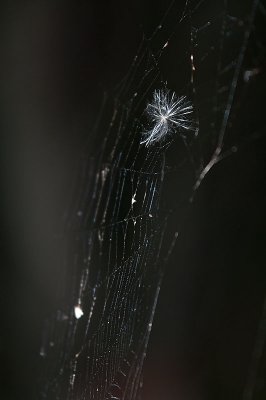g3/84/631784/3/123555909.71RbMpsQ.jpg