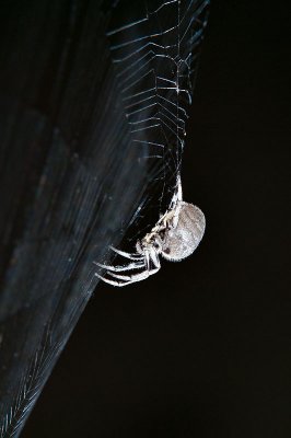 Catcher 10/04