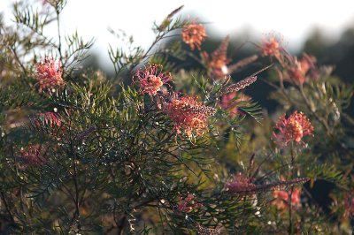 Autumn Display 16/04