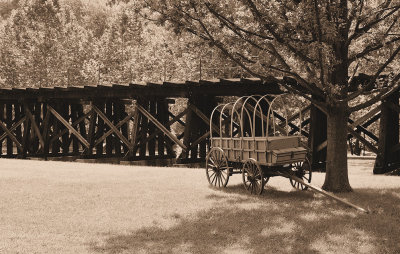 Wagon