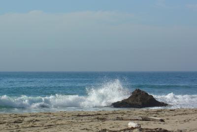 Waves on Rocks
