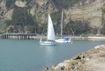 Dana Point Sailboats