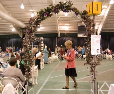 Sweepstakes_2985