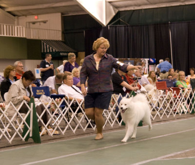 Sweepstakes_3063