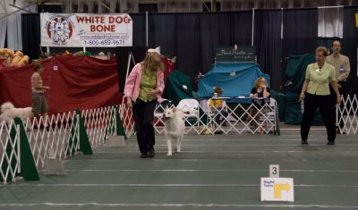 Rally_3199