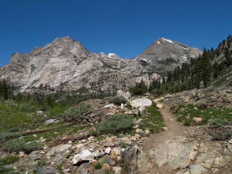 P7062353 Looking north near woods creek 2.JPG