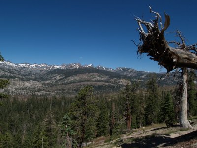 P7163181 Looking North from Mammoth into Ansel Adams Wilderness.JPG