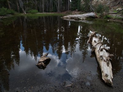 P7173243 Reflection in a pond.JPG