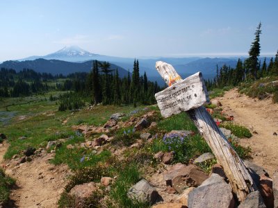 P8054441 PCT Trail junction, Mt Adams in the distance.JPG