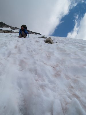 P7052295 Descending north side of Glen pass.JPG